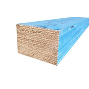 Meyer Termispan Joist 100x45 RA, offering protection against termites.